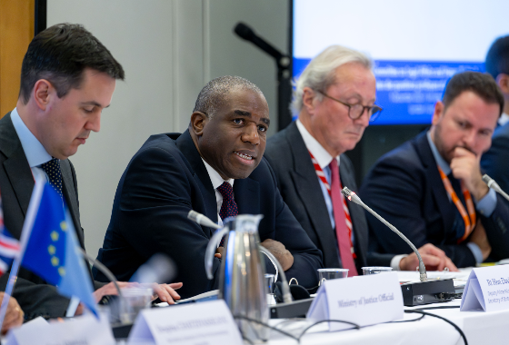 David Lammy MP addresses PACE Committee on Legal Affairs and Human Rights