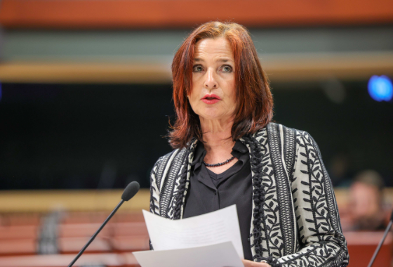 Strengthening socialisation, inclusion and democratic values in schools