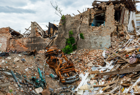 Chairperson of parliamentary network deplores latest deadly strikes and calls for increased winter assistance
