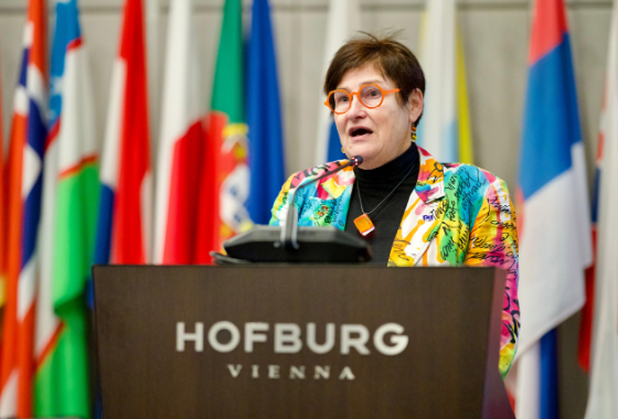 Petra Bayr: ‘Human rights and democracy are the foundation of security’