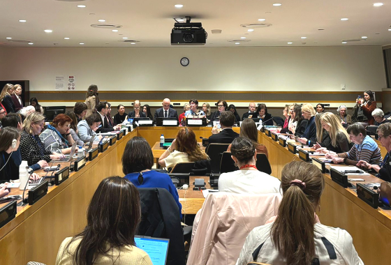 PACE President Petra Bayr at the UN in New York: ‘The backlash against women's rights is real, but it is not inevitable’