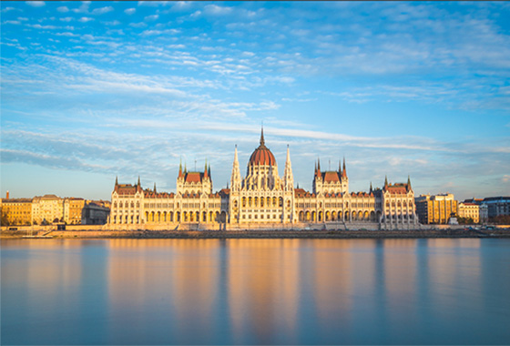Parliamentary Assembly to observe the parliamentary elections in Hungary