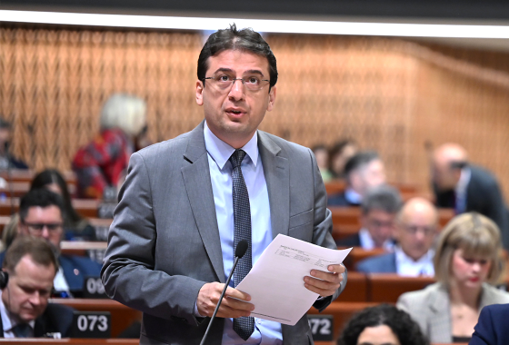 Observation of the early elections to the Assembly of Kosovo