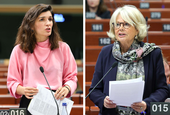Georgia: democratic backsliding and crackdown on opposition and civil society continue, says PACE committee