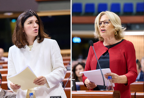 Georgia’s willingness to meet Council of Europe standards in question, says PACE