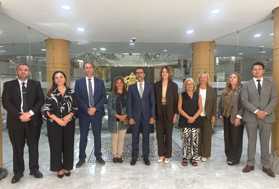 PACE pre-election delegation calls for inclusive, transparent and trusted parliamentary elections in Morocco