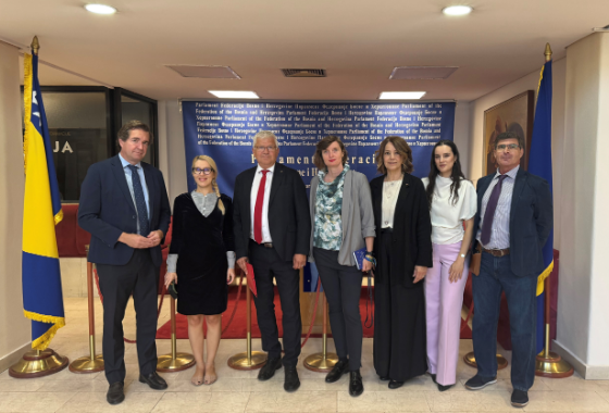 PACE pre-electoral delegation in Bosnia and Herzegovina welcomes electoral reforms but warns of continuing challenges
