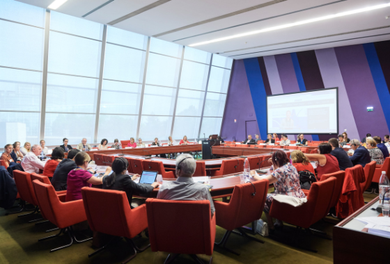 Committee meeting (MIG)