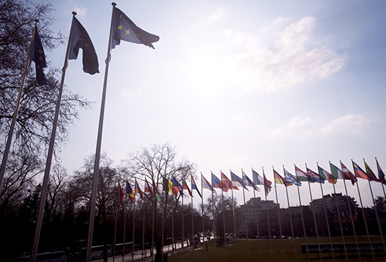 Conseil de l'Europe - Drapeaux