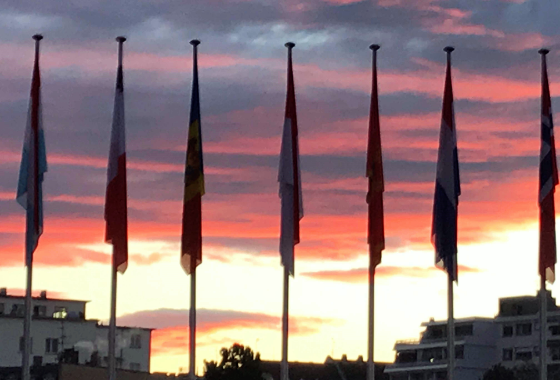 Conseil de l'Europe - Drapeaux