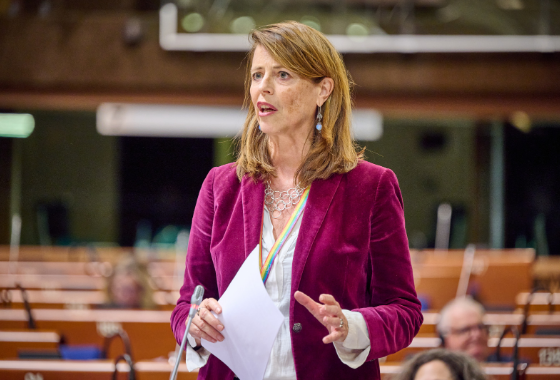 Joint debate: The role and responsibility of men and boys in eliminating gender-based violence against women and girls Presentation by Ms Petra STIENEN, Netherlands, ALDE, Rapporteur, AS/Ega