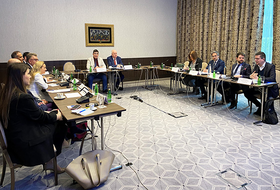 PACE delegation in Podgorica