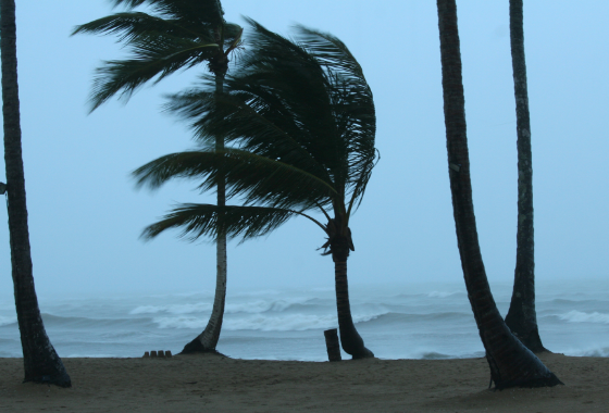 Climate change crisis global warming environment wind hurricane tornado tropical storm weather