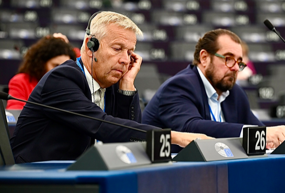 Rapporteur Reinhold Lopatka