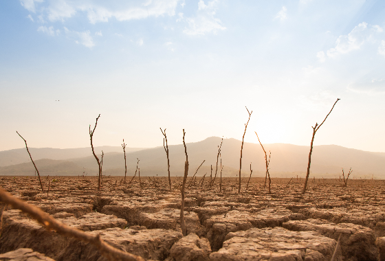Climate change