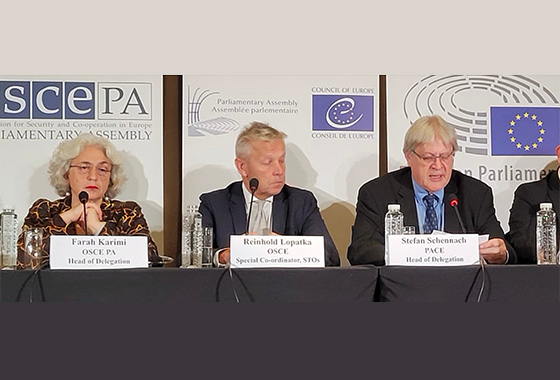 Press conference following election observation in Serbia