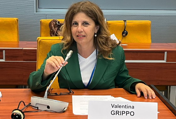 PACE committee calls for impact assessment and key revisions to draft convention on audiovisual series