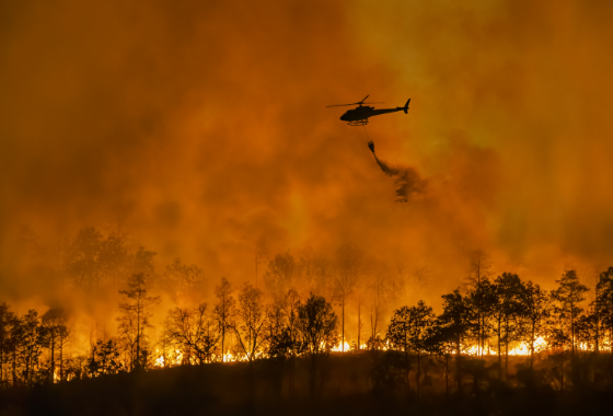 Déclaration sur la lutte contre le changement climatique
